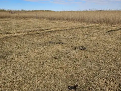 LOTES EN VENTA, EL SAUCE. CALLEJÓN FERRER.500 MTS.