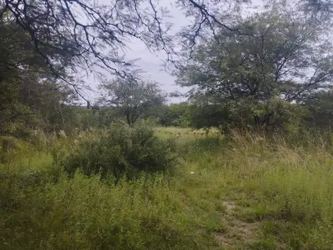 Ruta Provincial E56