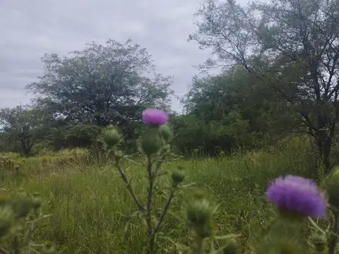 Terreno en Venta en Villa San Isidro, Cordoba