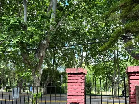 AVENIDA BERNABE MARQUEZ 100
