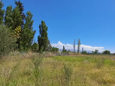 Terreno en Venta en Perdriel, USD 28.000