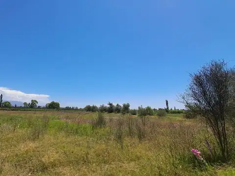 VENTA TERRENO 2.000 M2 -BRANDSEND PERDRIEL