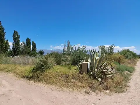 Terreno en Venta de 2000,0 m2