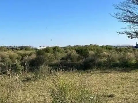 Terreno en Venta 50  mts Frente