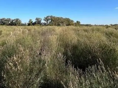 Terreno en Venta 154  mts Fondo
