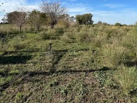 Terreno en Venta en Gowland, USD 70.000