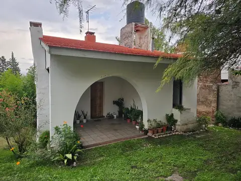 Av Bach 100
