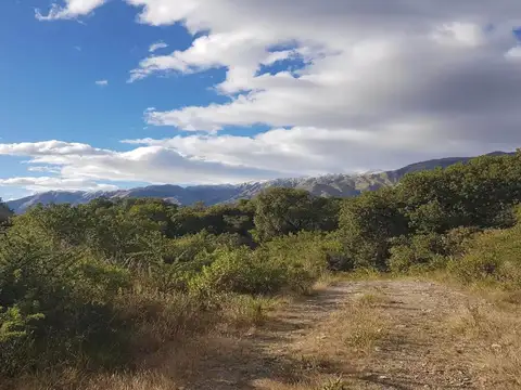 Terreno en Venta en Centro, Carpinteria