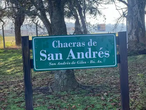 Bernardino Rivadavia