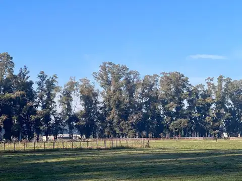 Bernardino Rivadavia