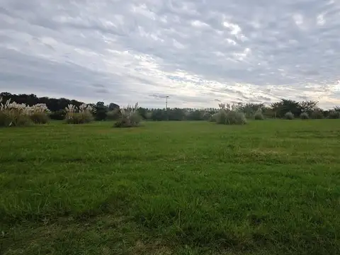 Lote de 1.030m2 en Barrio Los Juncos, Lujan.