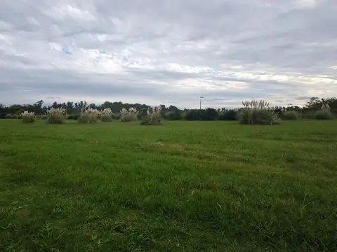 Barrio Cerrado Los Juncos