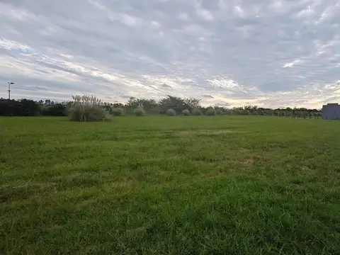 Lote de 1.030m2 en Barrio Los Juncos, Lujan.