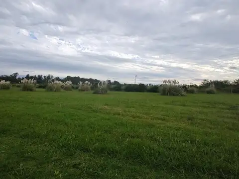 Terreno en Venta de 1030,0 m2