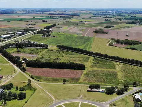 Terreno en Venta en General Lagos, Rosario
