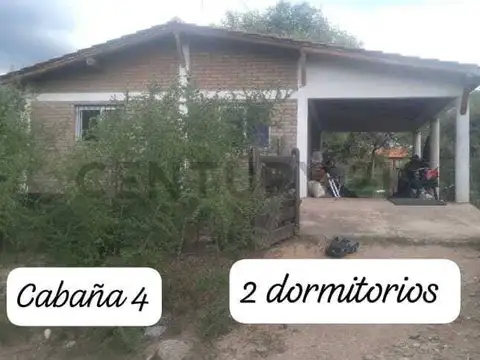 Publica 100
