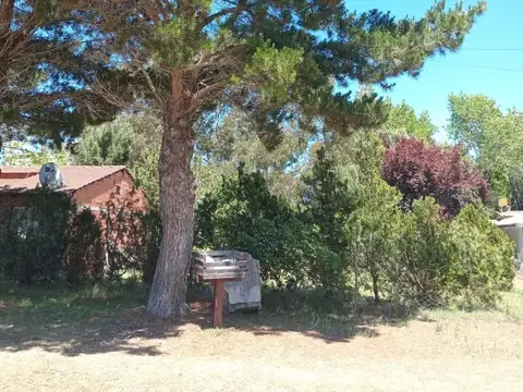 Lote Aguas verdes