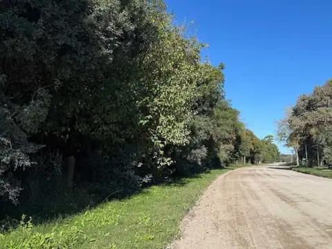 Terreno en Venta de 1000,0 m2