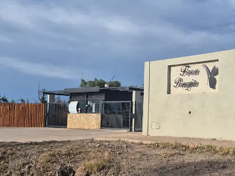 Terreno en Venta en Lujan De Cuyo, Lujan de Cuyo