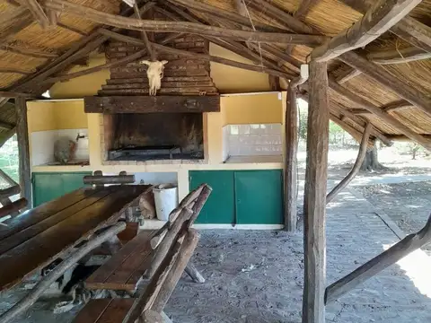 Campo en Alquiler Agrícola