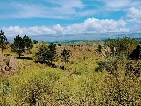VENTA LOTE DE 1944 M2 CENTRO VILLA YACANTO