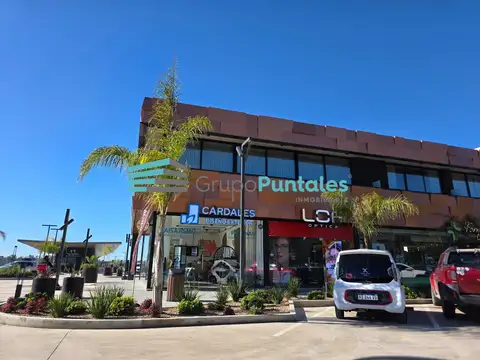 Local en Alquiler A Estrenar