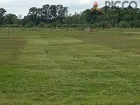 Terreno en Venta de 430,0 m2