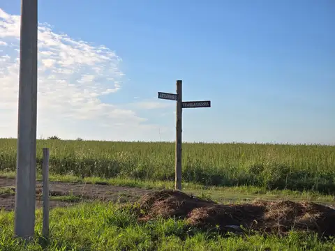 Terreno en Colonia Ensayo lote en venta Loteo Los Cardales
