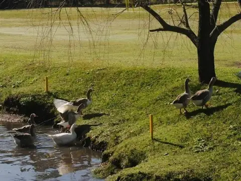 Terreno en Venta en Larena Country Club, USD 20.000