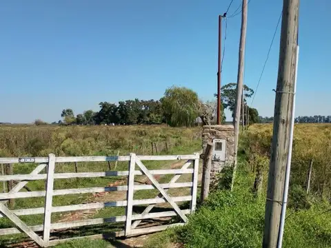 San Vicente Ruta Provincial  16 24 Hectáreas
