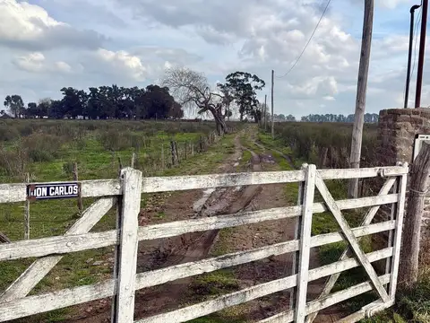 San Vicente Ruta Provincial  16 24 Hectáreas