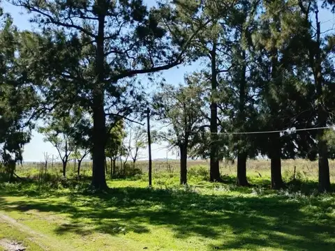 Campo en San Vicente 24 Hectareas