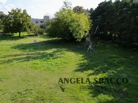 Estanislao D.c , Torres.