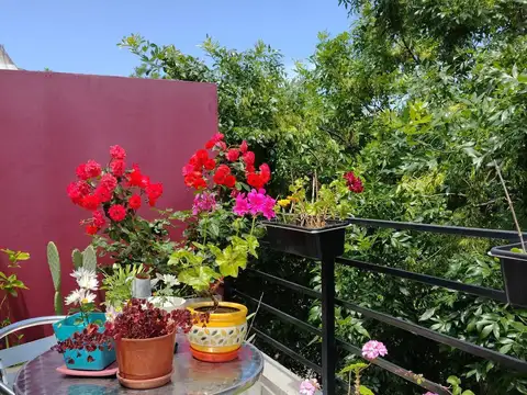 Roseti 400