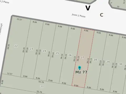 Juan José Paso 1300