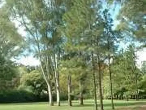 Quinta en Venta de 1 dormitorio