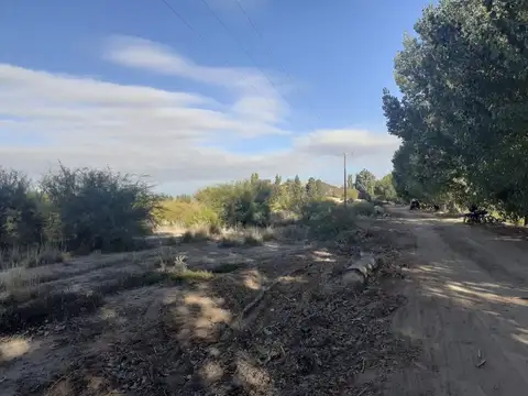 INVERSION GRAN TERRENO 38 HA