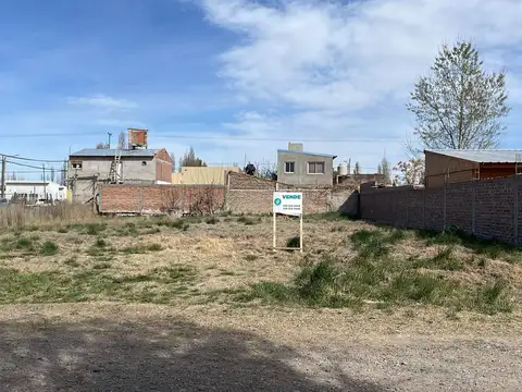 Terreno en Venta 10  mts Frente