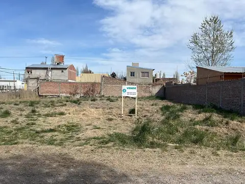 Calle  S/N