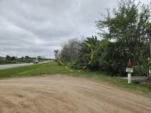 RUTA 102 100