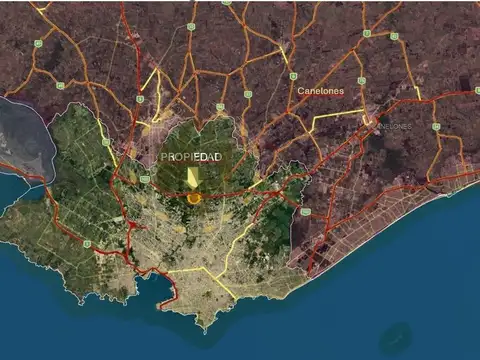 RUTA 102 100