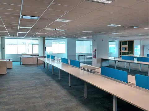 Oficina en Alquiler con 13 cocheras