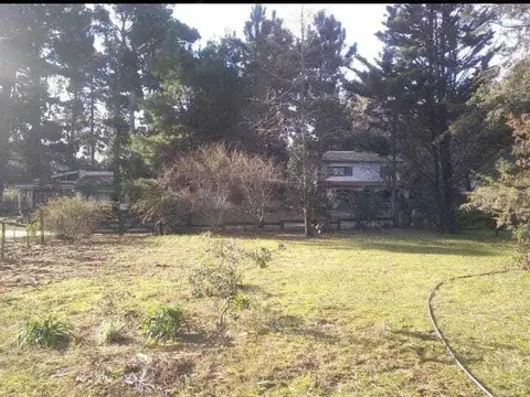 Sebastian el Cano 1100