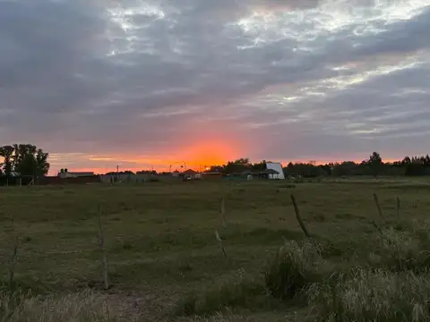 Terreno en Domselaar