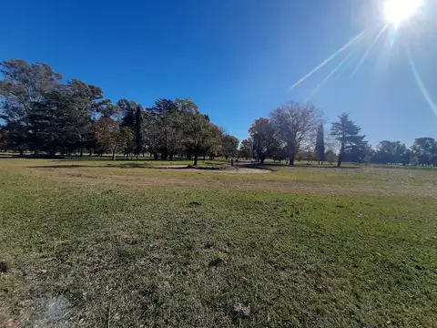 Terreno en Venta de 790,0 m2