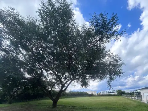 Terreno / Lote en venta de 1192m2 ubicado en Praderas de San Lorenzo