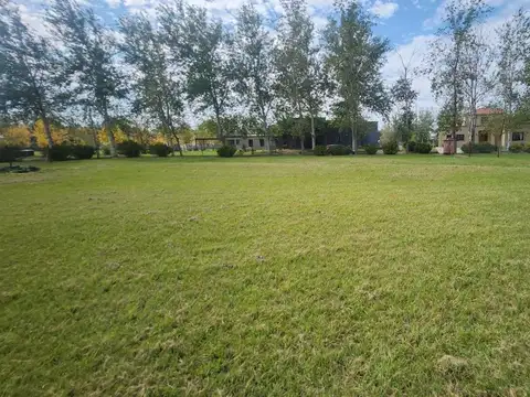 Terreno en Venta de 1000,0 m2