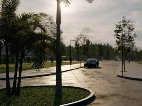 146 e/ 454 y 467 100