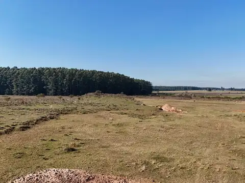 Autovía Ruta 14 Km 184