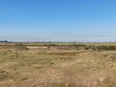 Campo para Cantera  Autovía Ruta 14 Colón Entre Ríos